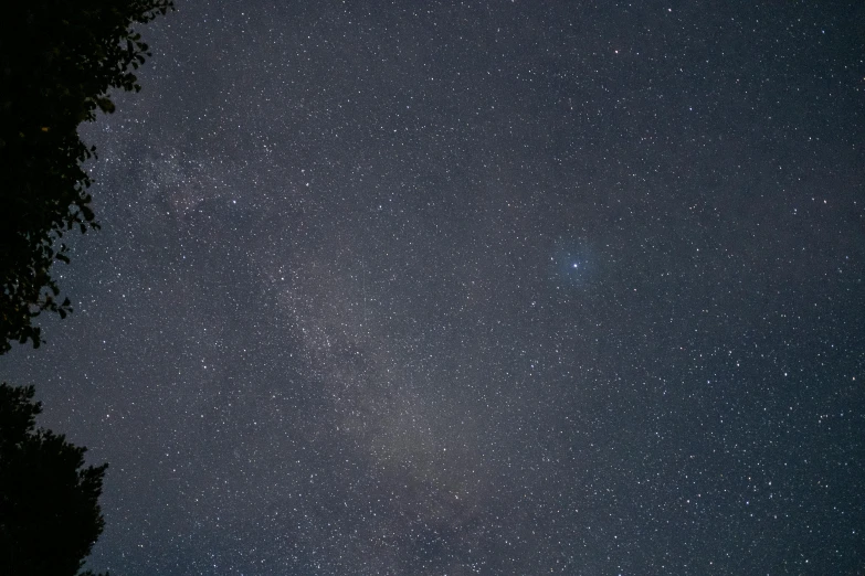 there is a lone tree in the background of a night sky