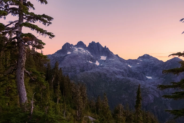 the mountains surrounding the forest with many trees around