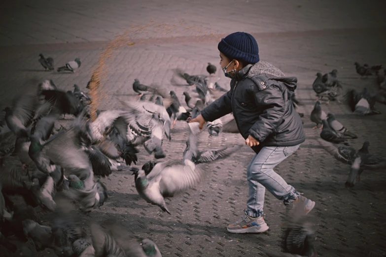 a little boy surrounded by lots of pigeons on a beach