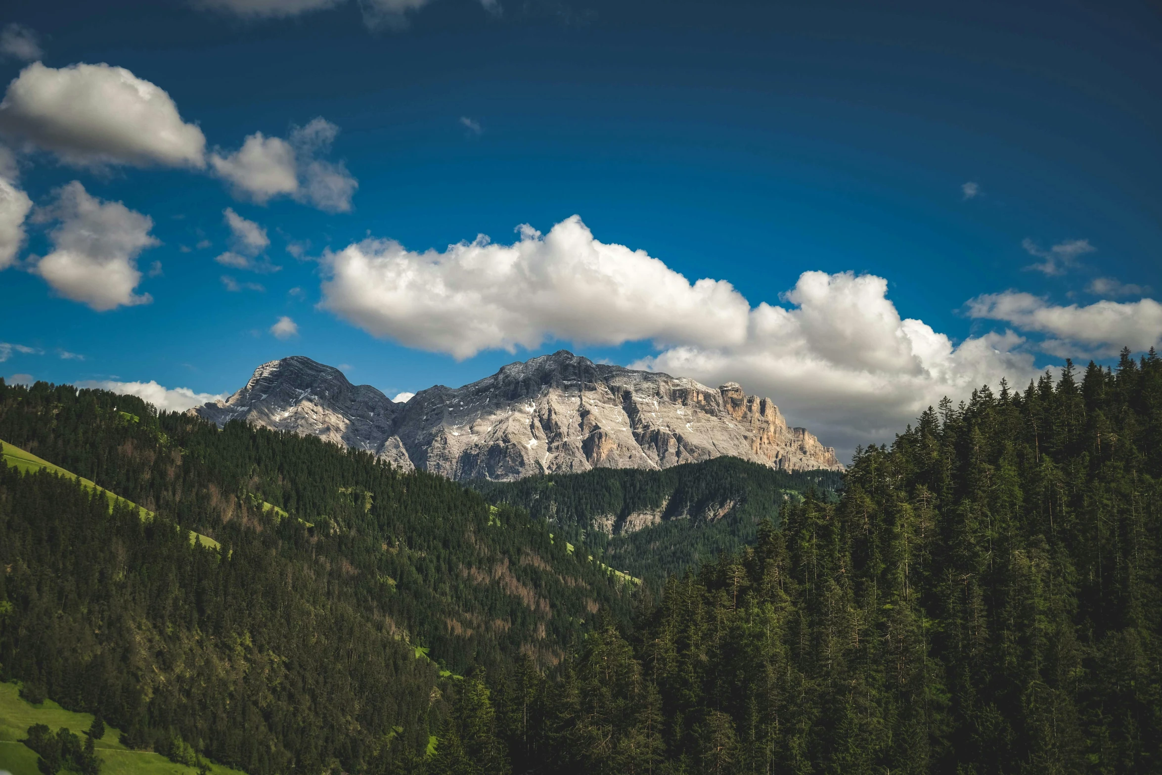 a scenic view of mountains and forest under blue skies