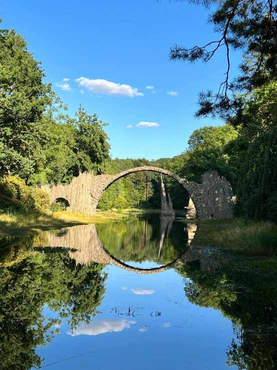 a bridge that has been surrounded by trees