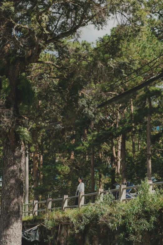 a lone person is walking along side of a park