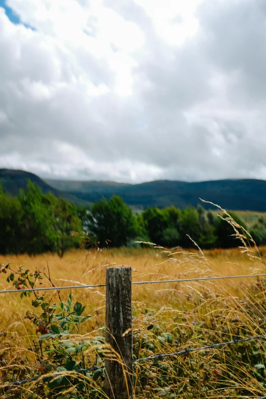 an image of a fenced pasture that has grass in it