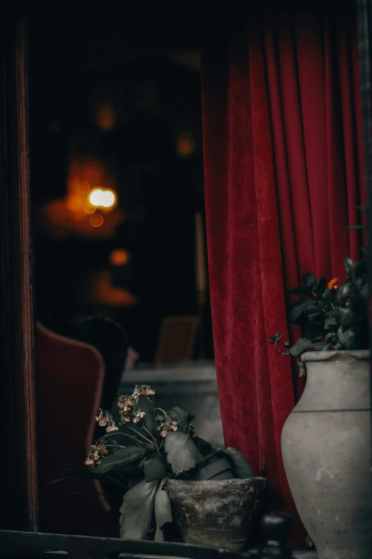 a gray potted plant on a table near a red curtain