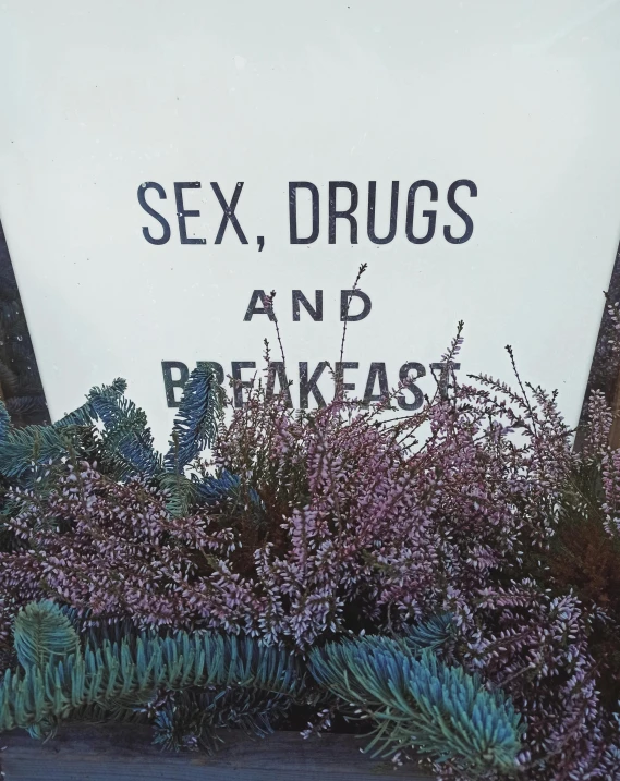 a painting of blue plants in the foreground, with a sign on it stating sex  and bed breaks