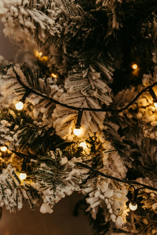 a christmas tree with a bunch of tiny lights