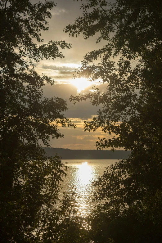 the view from a wooded area with trees and a river in the distance