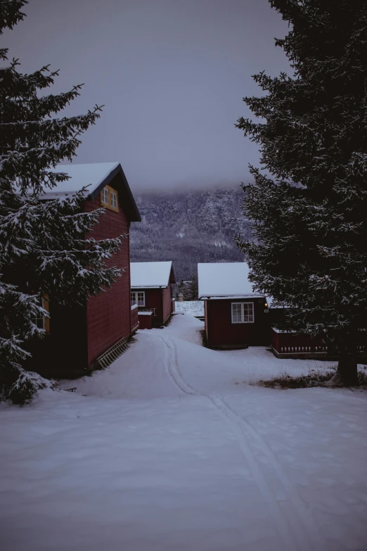 a snow covered road in a forest with cabins at night