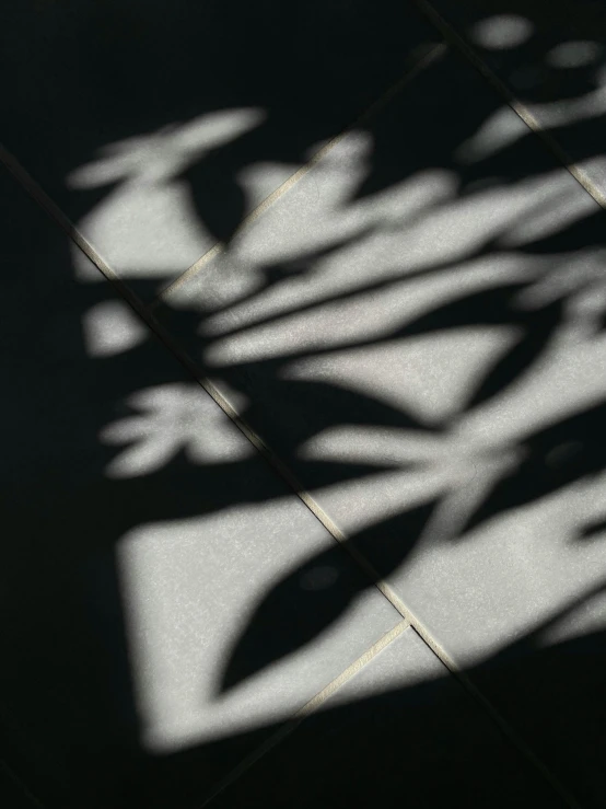 the shadow of some leaves is seen on a wall