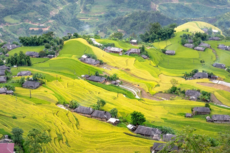 green hillside with lots of small houses on it