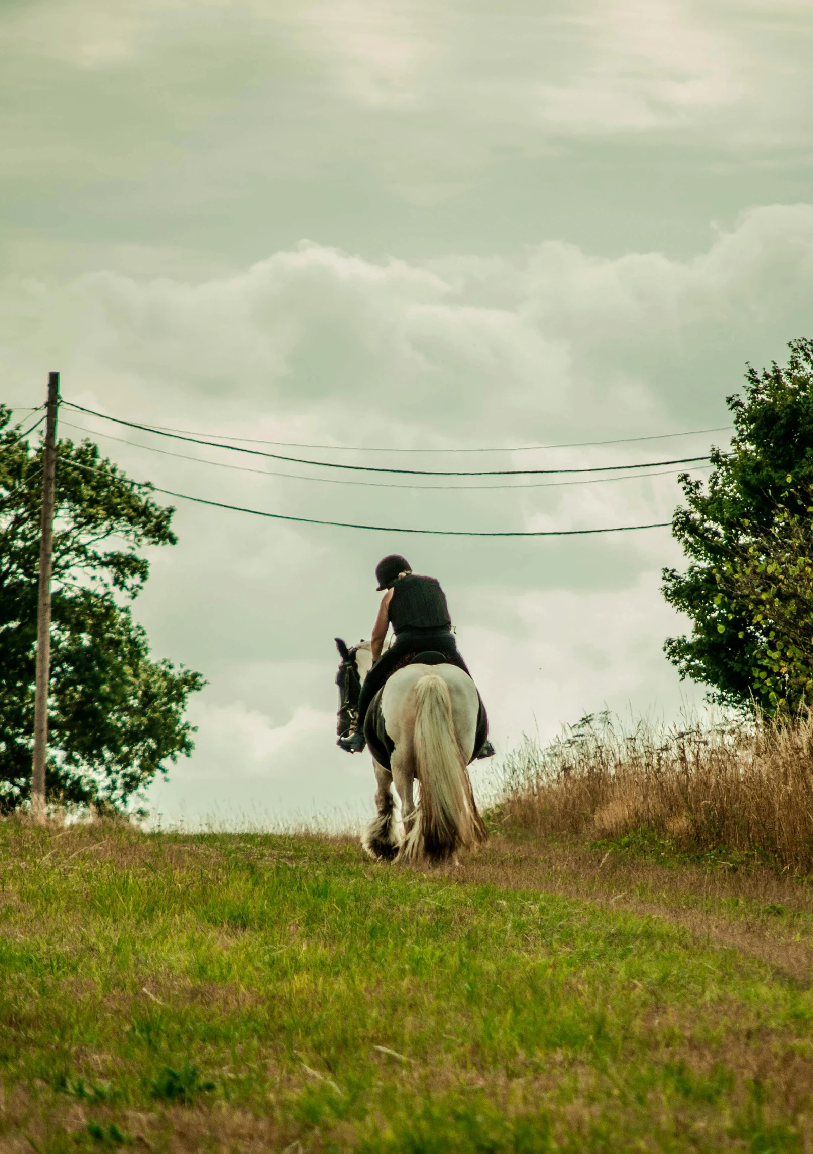 a person on a horse with trees in the background