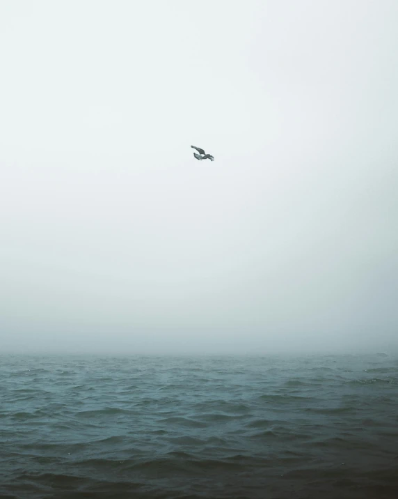 a bird flying low over the ocean during foggy weather
