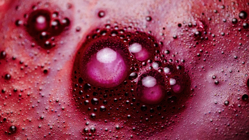 the top of a red object with a lot of water droplets