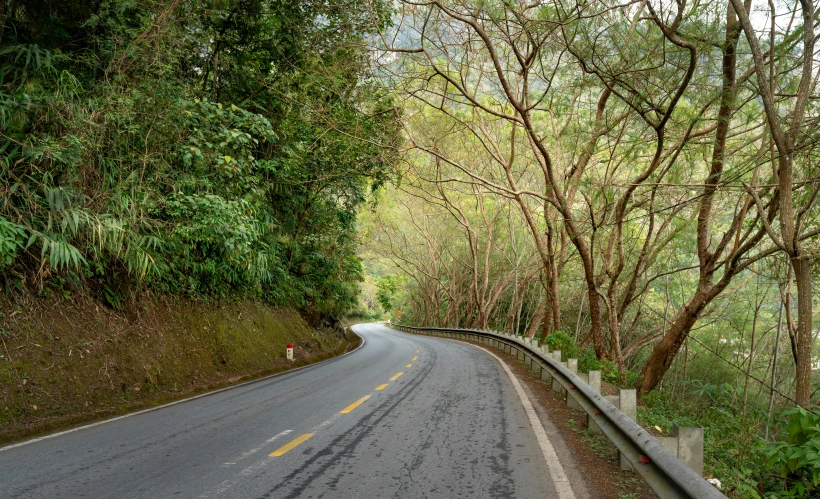 the road has two lanes leading down into the trees