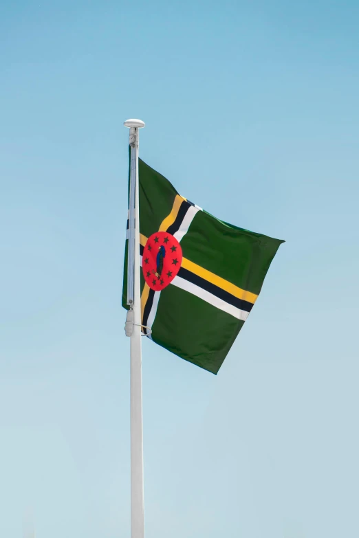 flag with ladybug and star on green banner on metal pole