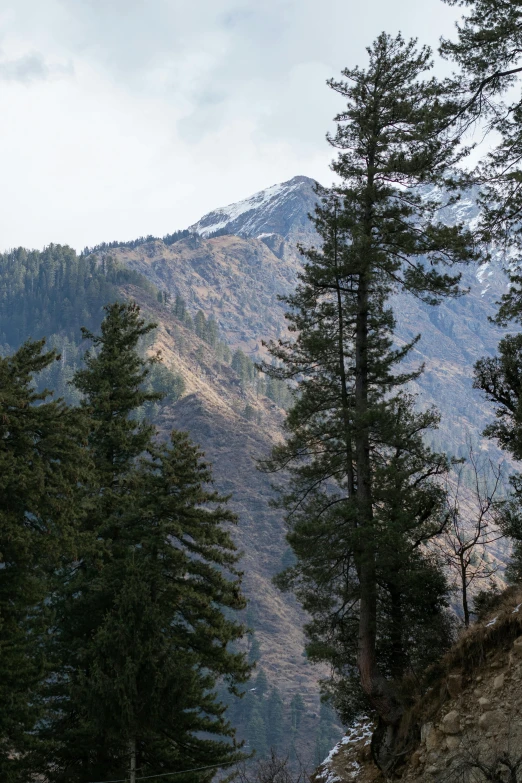 a view from the side of a mountain with lots of trees on it