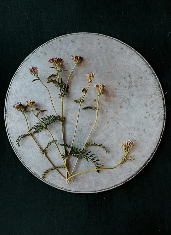 an arrangement of flowers sitting on a plate