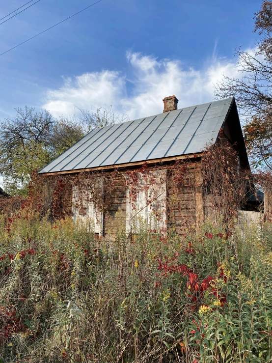 an old run down building that is in the woods