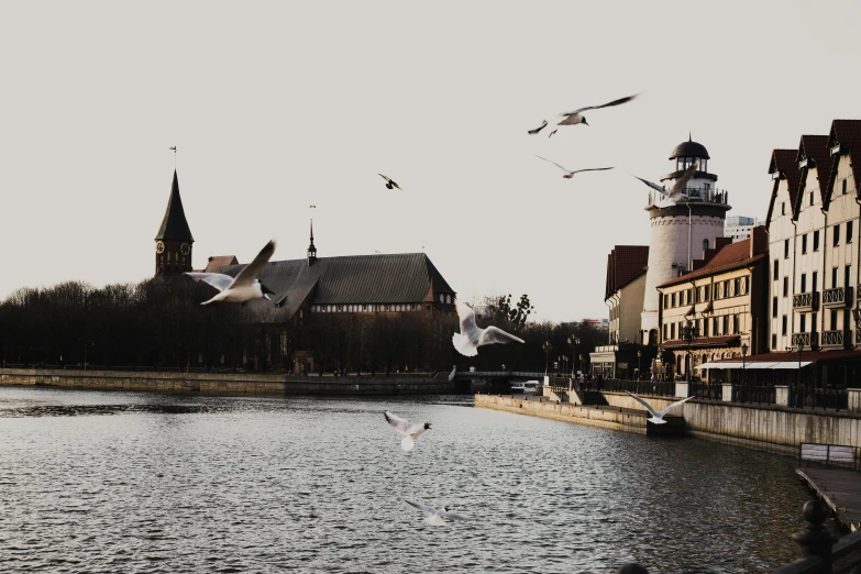 a pond in front of buildings with birds flying around it