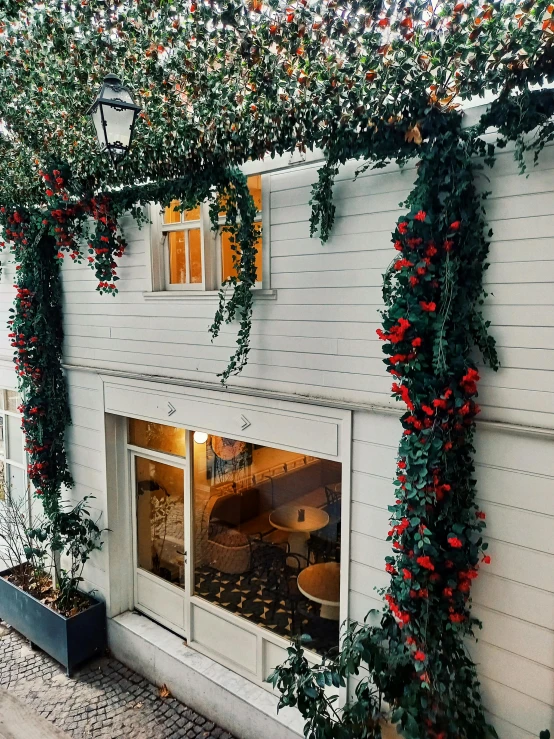 an old building has a window covered in holly nches