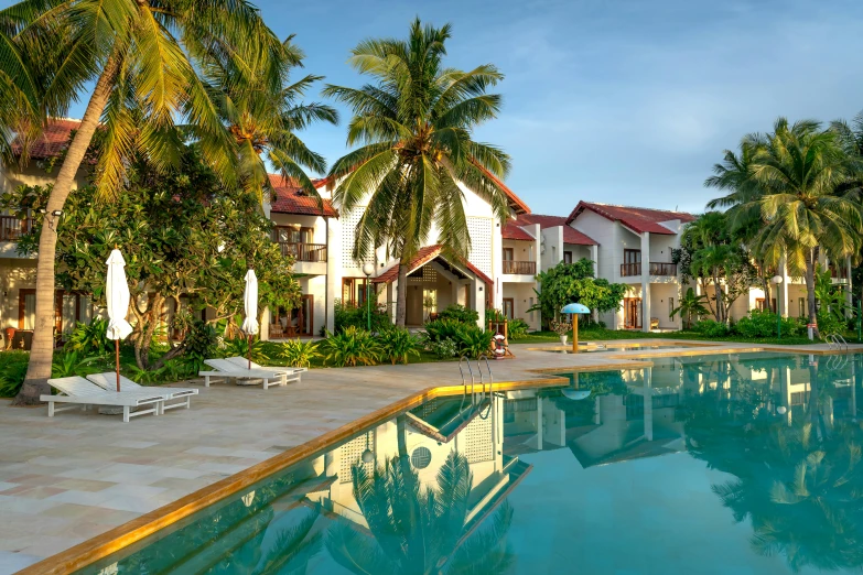 the view of a swimming pool surrounded by palm trees