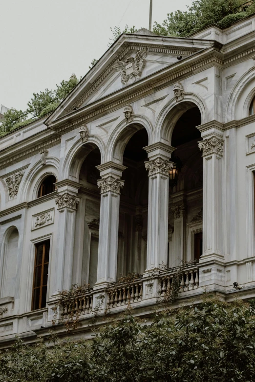 a house has columns with green vines on the top and side