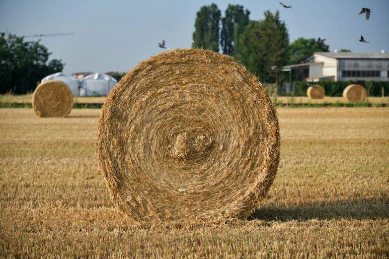 a field with a large hay bail in the middle of it