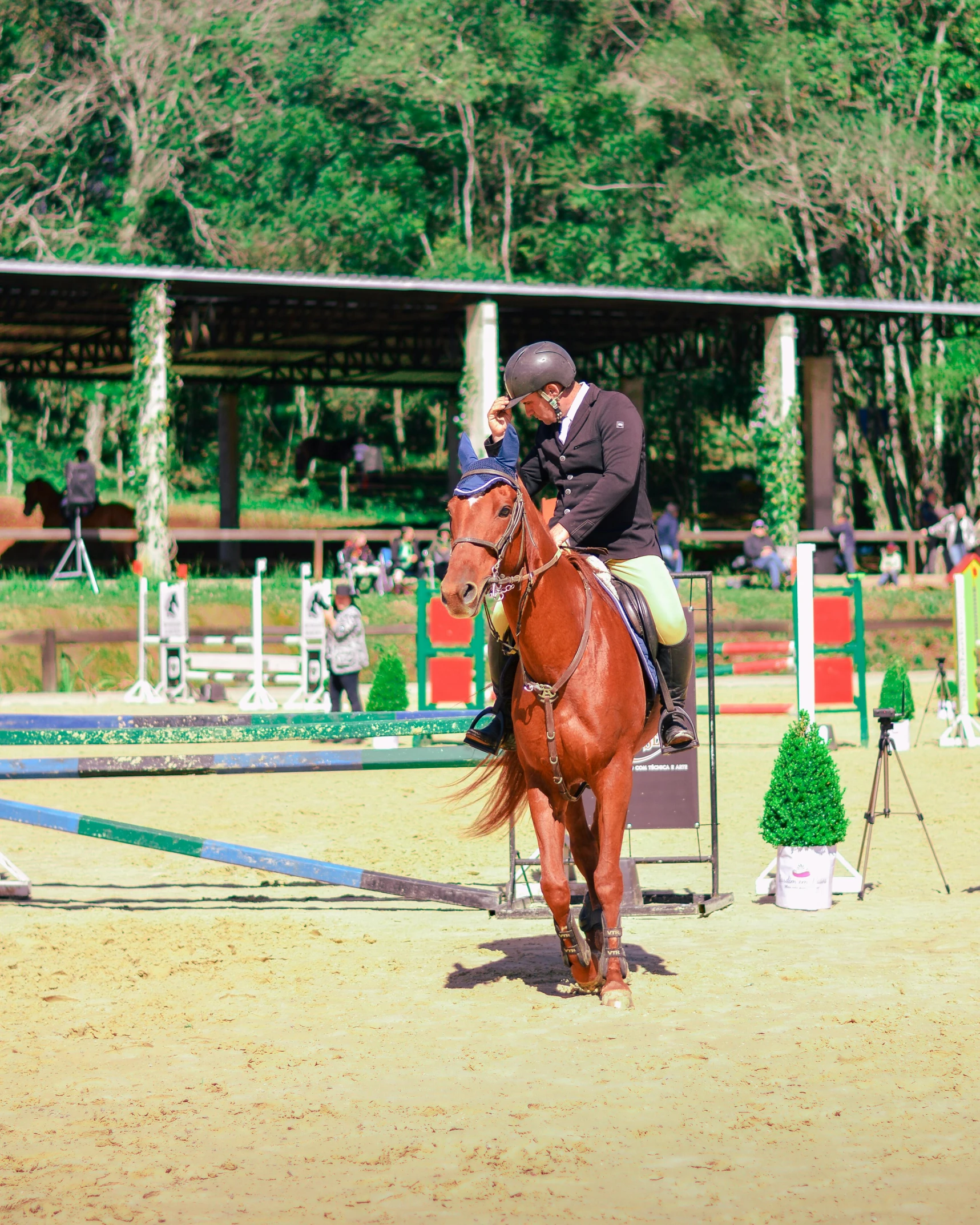 an equestrian on a horse in a competition