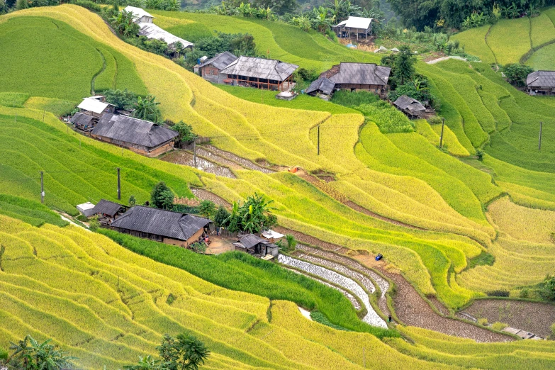 the green rolling hills with houses on top