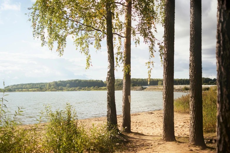 a lake with a beach lined with trees