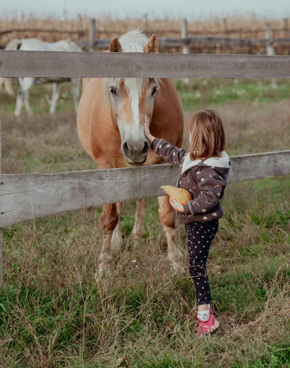 a little girl and a horse leaning over a fence