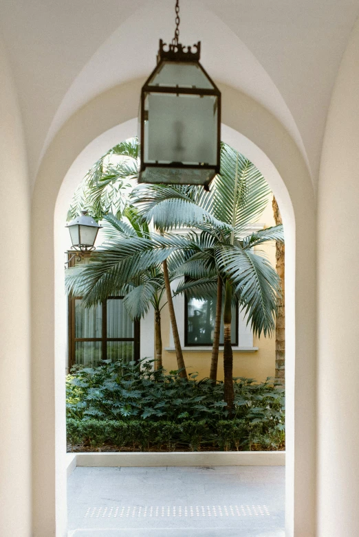 the inside of an archway looking through at plants and a lamp