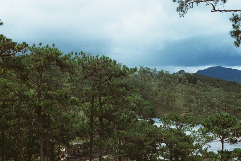 an overview po of some water and trees