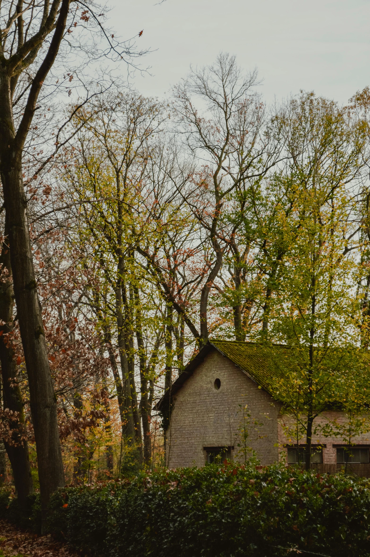 the old barn is in the middle of some tall trees