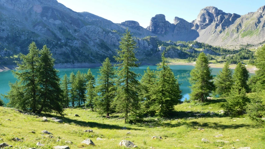 a lake surrounded by trees in the middle of mountains