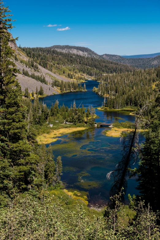 water surrounded by trees and a valley