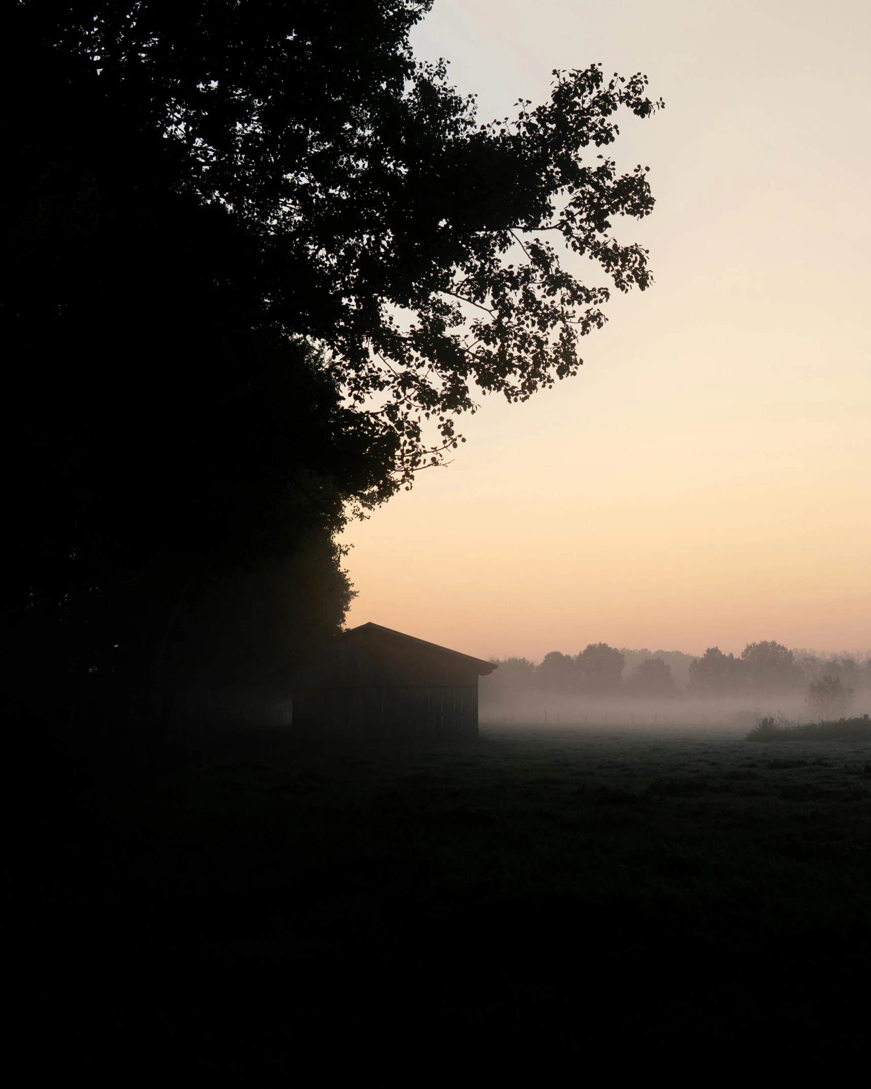 a dark foggy area with trees and a barn in the background