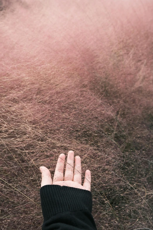 the finger of a persons hand with a bunch of hair behind