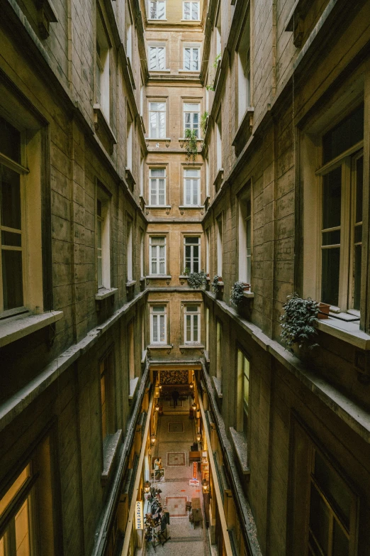 looking up at tall buildings from a hallway