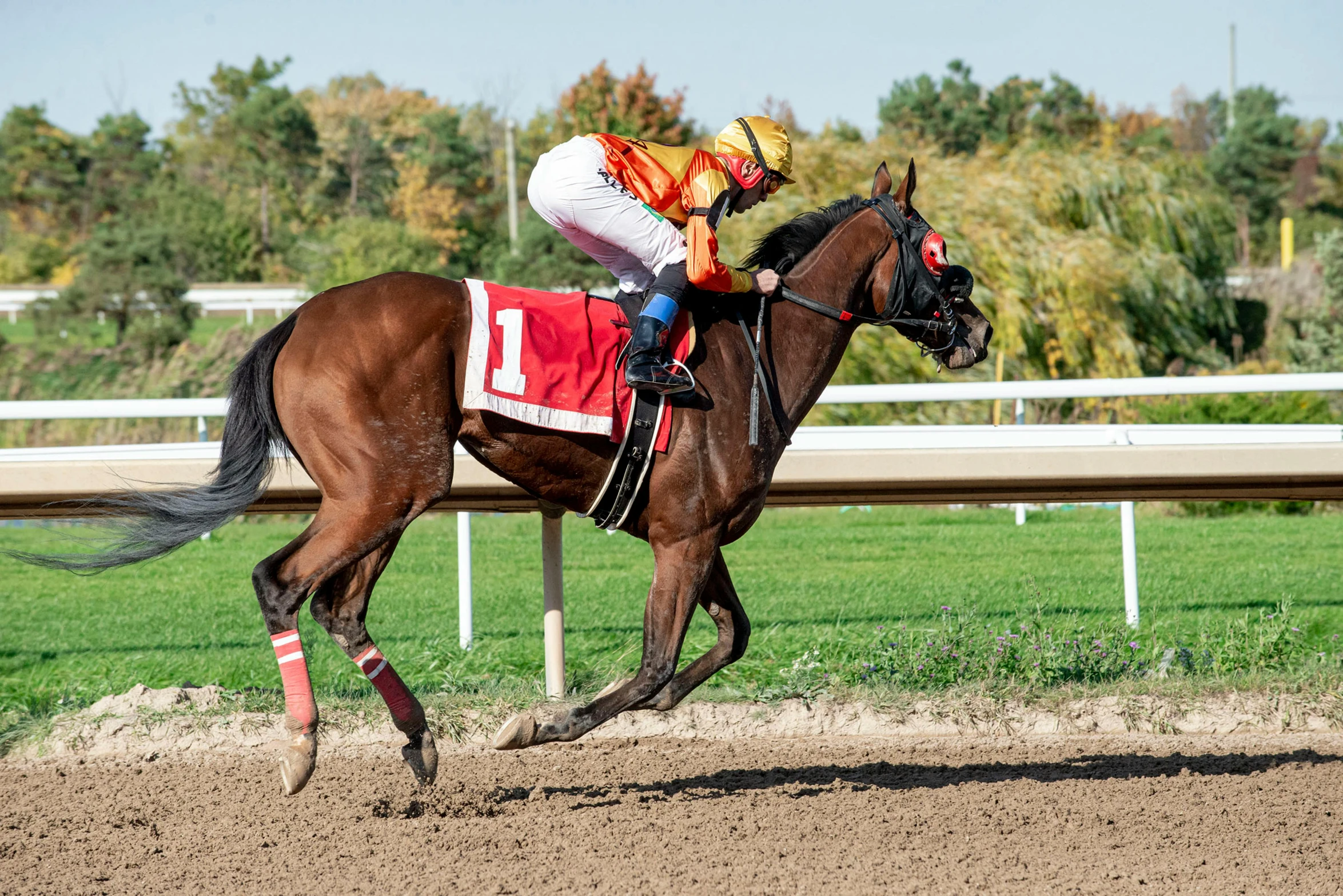 a jockey riding a brown horse across a dirt track