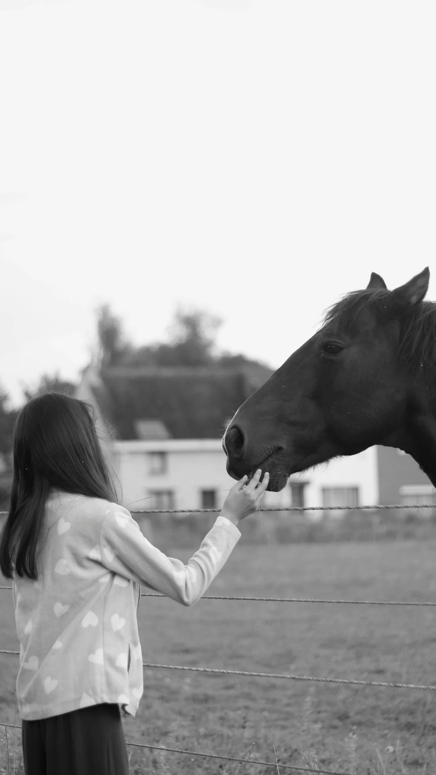 a woman is standing near a horse that's eating grass