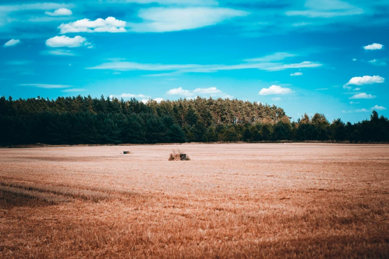 two large bales in a farm field during the day