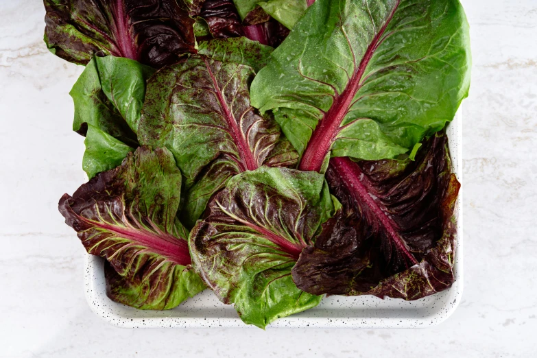 a dish of green and red lettuce
