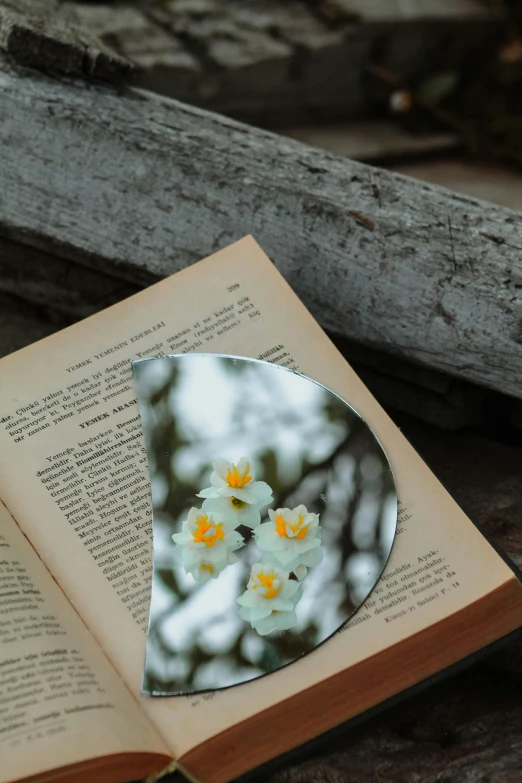 an open book and three flowers on it