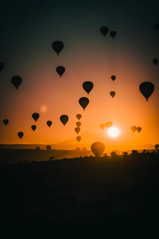 balloons are flying across a sunset sky in the sun