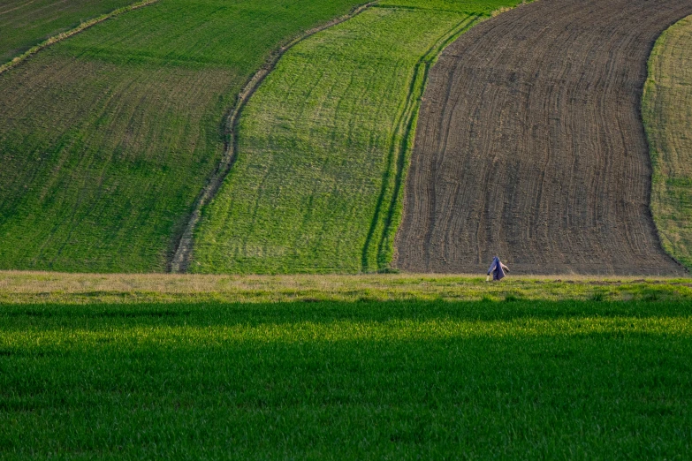 person on the grass walking along a path