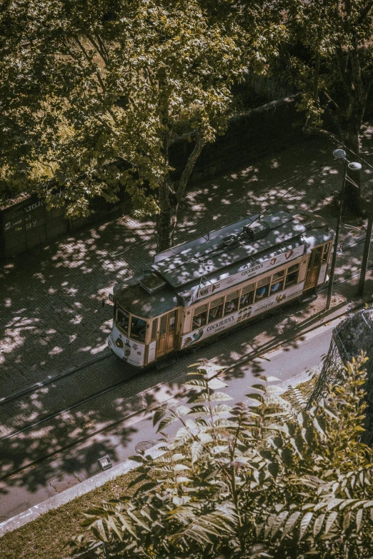 there is a public transit bus on the road