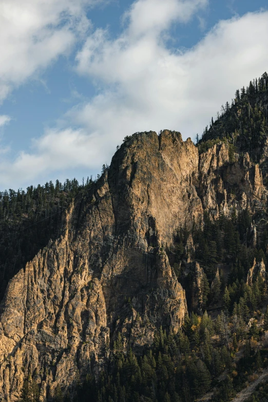 a very tall rocky cliff with some trees on top