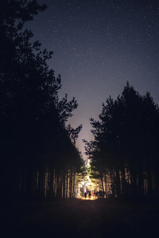 silhouettes of people walking into the dark forest at night with star - filled sky