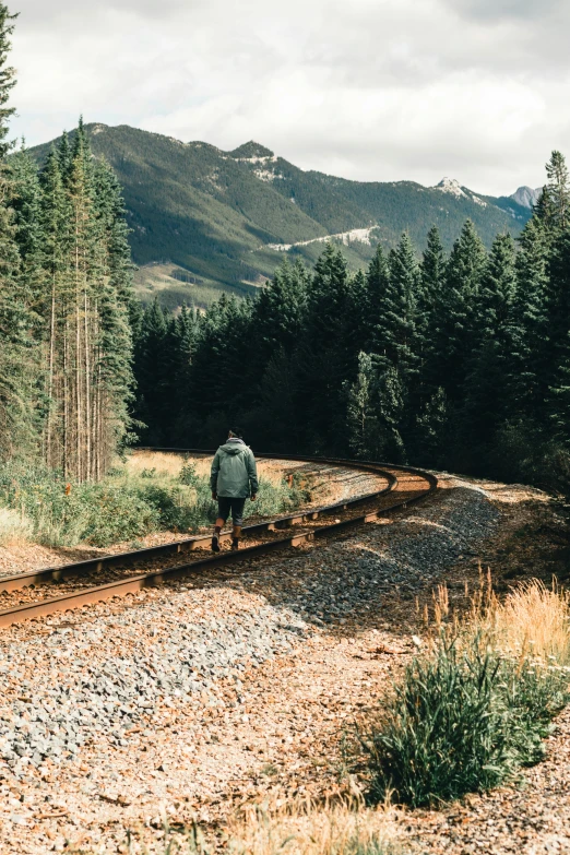 a man walking along tracks next to trees